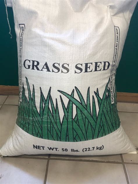 orchard grass seed for sale near me